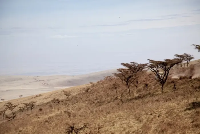 Framed Print : Ngorongoro Crater Framed Print : Ngorongoro Crater