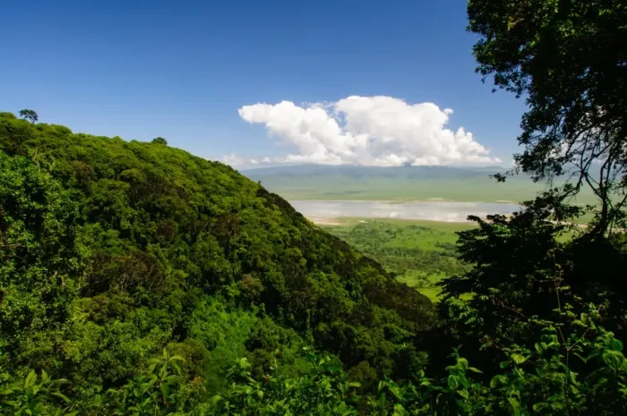 Framed Print : Ngorongoro Crater Framed Print : Ngorongoro Crater