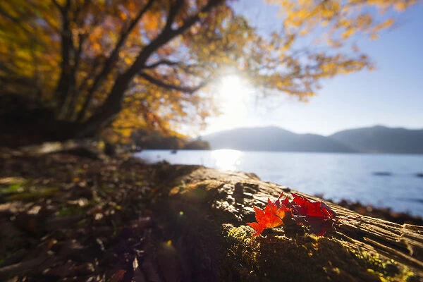 Nikko in autumn season
