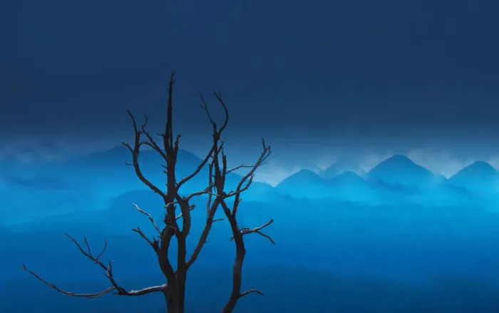 Framed Print : Nilgiris dreams Framed Print : Nilgiris dreams