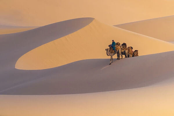 Nomad is riding camel across sand dune in Gobi desert