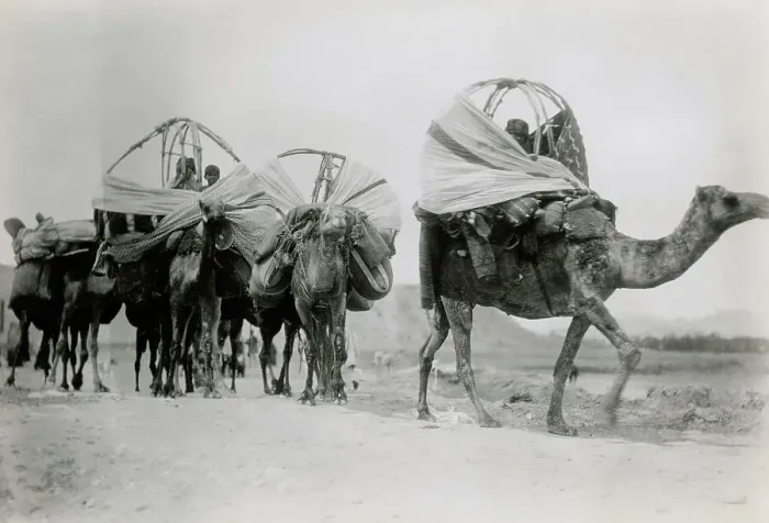 Framed Print : Nomadic Tribe in Algeria Framed Print : Nomadic Tribe in Algeria