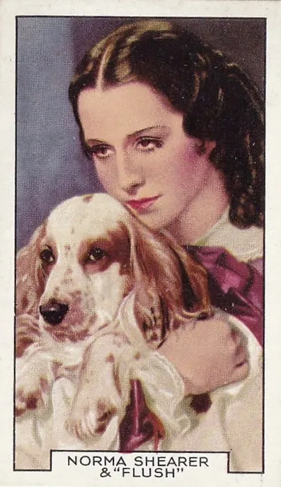 Framed Print : Norma Shearer and Flush the Dog, Film Partners series, Collectible Tobacco Card, 1935