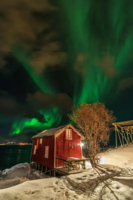 Framed Print : The northern light over red cabin in Lofoten, Norway