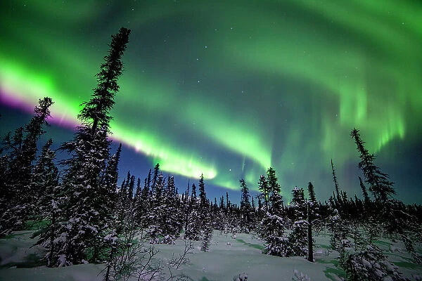 Northern Lights Over Alaska