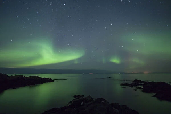 Northern lights, aurora borealis, on a winters night on the coast of Hov, Lofoten, Norway