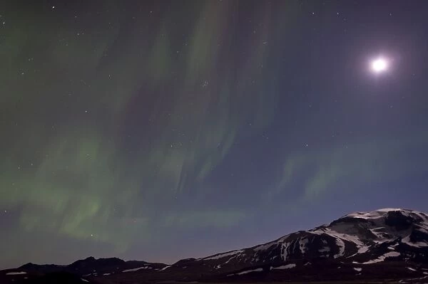 Northern Lights and Full Moon over Mt Snaefell, Highlands of Iceland, Northeastern Region, Iceland