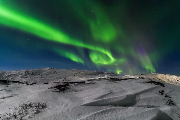 Northern lights over the snow-capped mountains