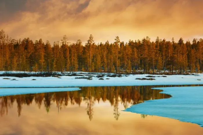 Framed Print : Northern spring, finnish lapland sunset Framed Print : Northern spring, finnish lapland sunset