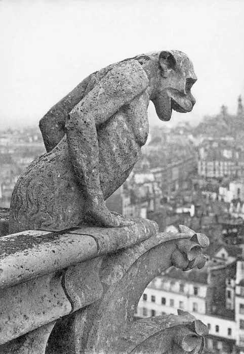 Framed Print : Notre Dame Cathedral Gargoyle Paris Framed Print : Notre Dame Cathedral Gargoyle Paris