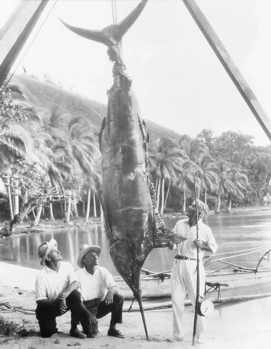 Framed Print : Novelist Zane Grey and Friends with Swordfish Framed Print : Novelist Zane Grey and Friends with Swordfish