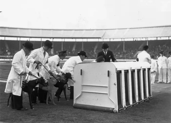 Framed Print : Novice Race Framed Print : Novice Race