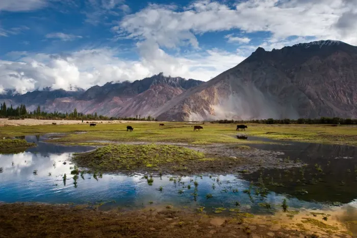 Framed Print : Nubra Valley Framed Print : Nubra Valley
