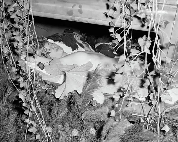 Framed Print : Nude Girl Sleeping in Automobile with Flowers Framed Print : Nude Girl Sleeping in Automobile with Flowers