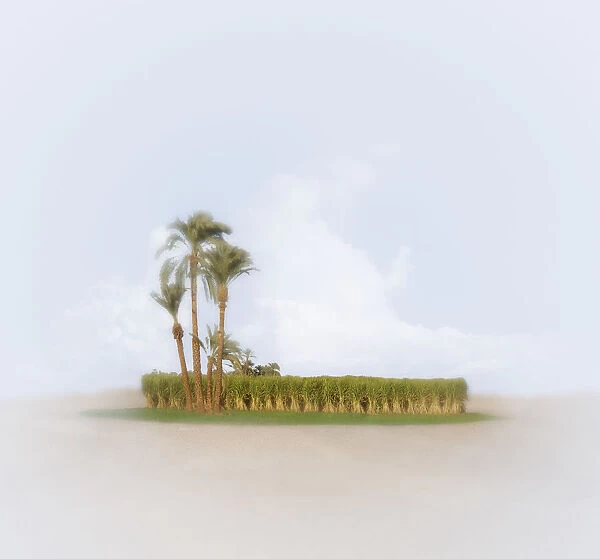 Oasis in desert (Digital Composite)