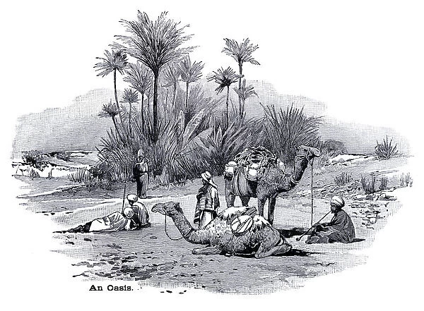 An oasis engraving 1896