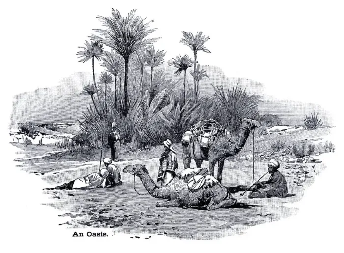 Framed Print : An oasis engraving 1896 Framed Print : An oasis engraving 1896