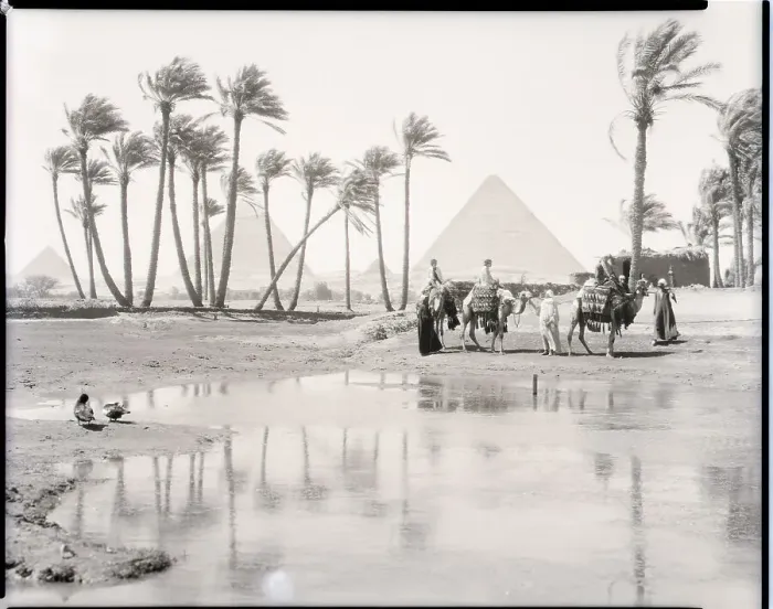 Framed Print : Oasis at Giza Framed Print : Oasis at Giza
