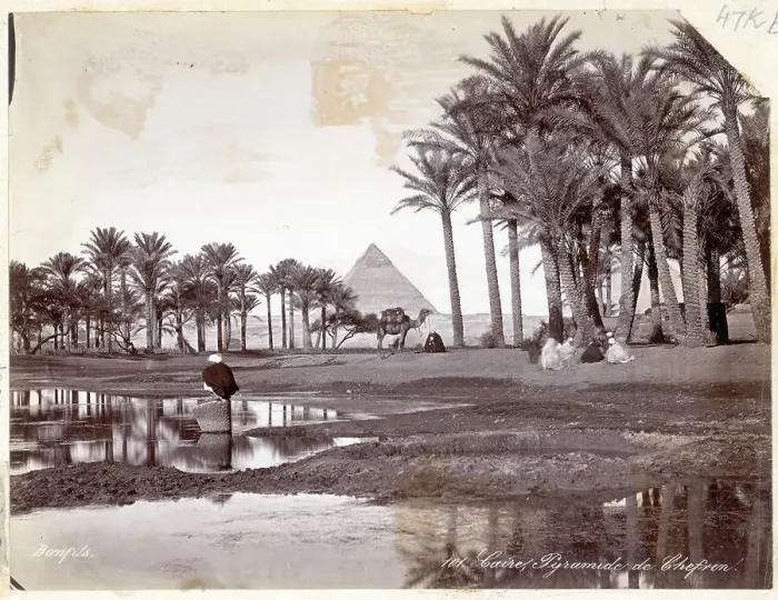 Framed Print : Oasis W / Buzzard, Camel;Pyramid In Backgro Framed Print : Oasis W / Buzzard, Camel;Pyramid In Backgro