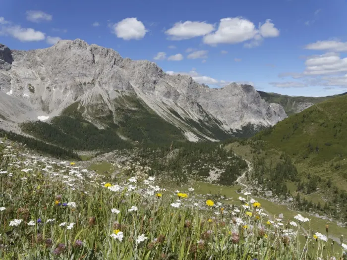 Framed Print : Obere Wolayer Alm mountain pasture with the Biegengebirge Mountains, Carnic Alps, Lesachtal, Carinthia, Austria Framed Print : Obere Wolayer Alm mountain pasture with the Biegengebirge Mountains, Carnic Alps, Lesachtal, Carinthia, Austria