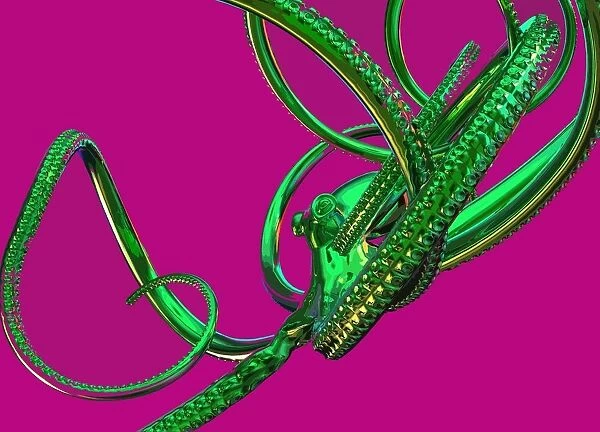 Octopus. Green octopus against a pink background, illustration