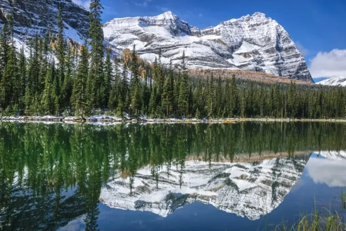 Framed Print : Odaray Mountain & Mary Lake, Lake O Hara, Yoho National Park, British Columbia, Canada Framed Print : Odaray Mountain & Mary Lake, Lake O Hara, Yoho National Park, British Columbia, Canada
