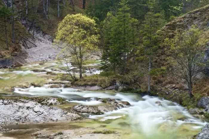 Framed Print : Oetscherbach river, Lower Austria, Austria, Europe