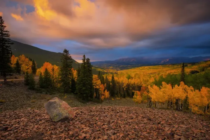Framed Print : Ohio pass. Yellow aspen trees in autumn with sky lit up in the morning Framed Print : Ohio pass. Yellow aspen trees in autumn with sky lit up in the morning