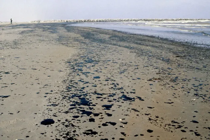Framed Print : Oil Droplets On Mexican Beach Framed Print : Oil Droplets On Mexican Beach