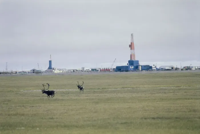 Framed Print : Oil Rig And Caribou Framed Print : Oil Rig And Caribou