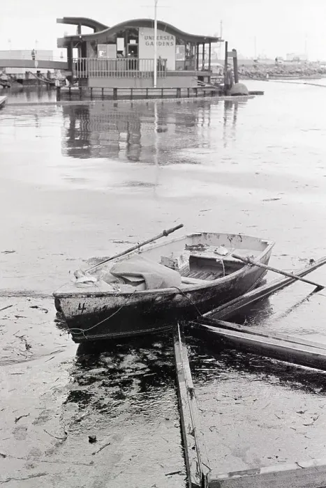 Framed Print : Oil-Slicked Boat Washed On Oiled Beach Framed Print : Oil-Slicked Boat Washed On Oiled Beach