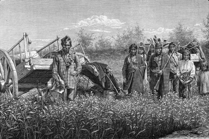 Framed Print : Ojibwe Family With Wagon Framed Print : Ojibwe Family With Wagon