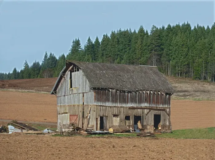 Framed Print : Old Barn. A color photograph of an old wooden barn in an agricultural field Framed Print : Old Barn. A color photograph of an old wooden barn in an agricultural field
