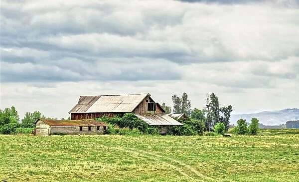 Old Barn. A color photograph of an aging barn on Sauvie Island in Oregon