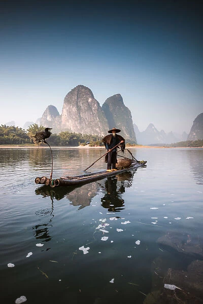 Old chinese fisherman with cormorants, China