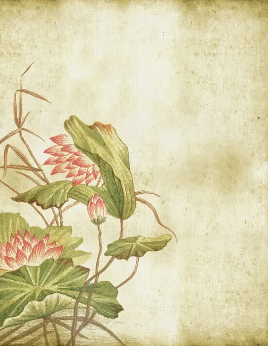 Framed Print : Old Dirty Chinese Ornament