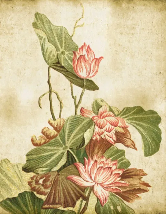 Framed Print : Old Dirty Chinese Wallpaper Framed Print : Old Dirty Chinese Wallpaper