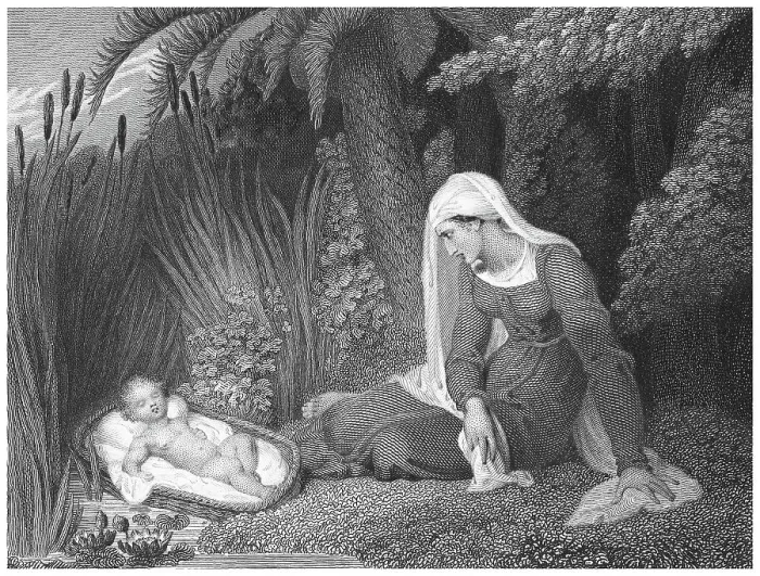 Framed Print : Old engraved illustration of Moses in the bulrushes Framed Print : Old engraved illustration of Moses in the bulrushes