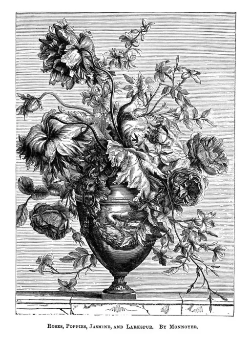 Framed Print : Old engraved illustration of Roses, poppies, jasmine and larkspur by Monnoyer Framed Print : Old engraved illustration of Roses, poppies, jasmine and larkspur by Monnoyer