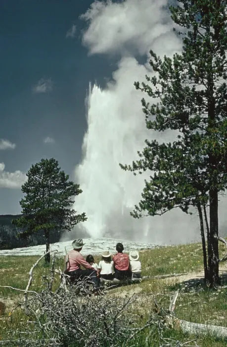 Framed Print : Old Faithful Geyser Erupting Framed Print : Old Faithful Geyser Erupting