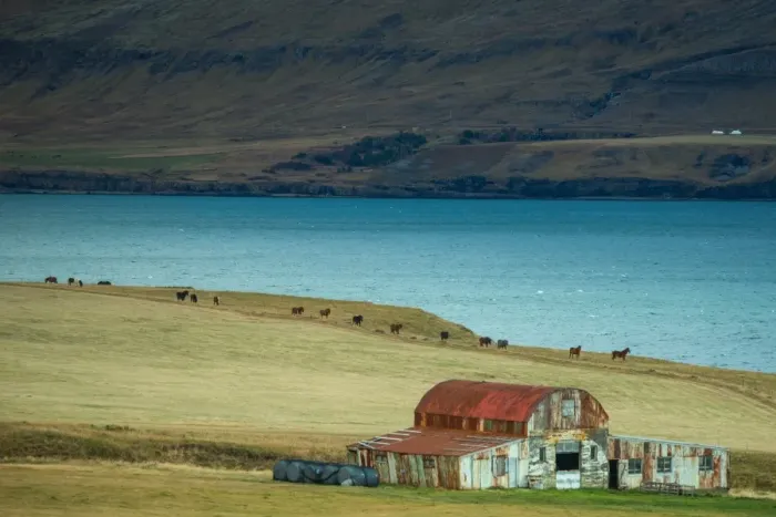Framed Print : Old house in Iceland horse farm Framed Print : Old house in Iceland horse farm