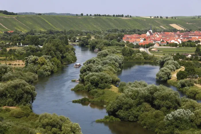 Framed Print : Old Main River, Nordheim am Main, Mainschleife, loop in the Main River, Mainfranken, Lower Franconia, Franconia, Bavaria, Germany, Europe Framed Print : Old Main River, Nordheim am Main, Mainschleife, loop in the Main River, Mainfranken, Lower Franconia, Franconia, Bavaria, Germany, Europe
