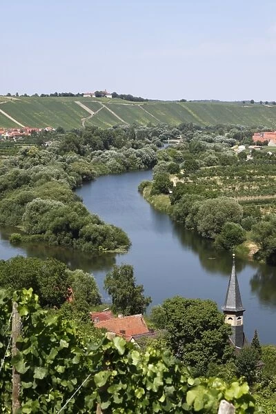 Old Main River with the towns of Koehler, Escherndorf and Nordheim am Main, Mainschleife, loop in the Main River, Mainfranken, Lower Franconia, Franconia, Bavaria, Germany, Europe