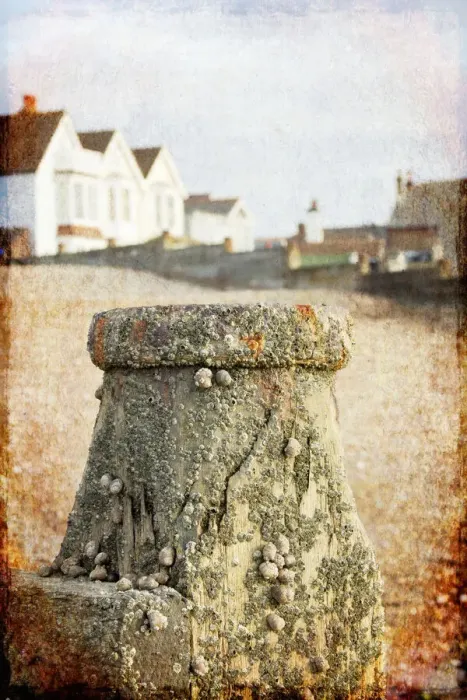 Framed Print : Old post of jetty Framed Print : Old post of jetty