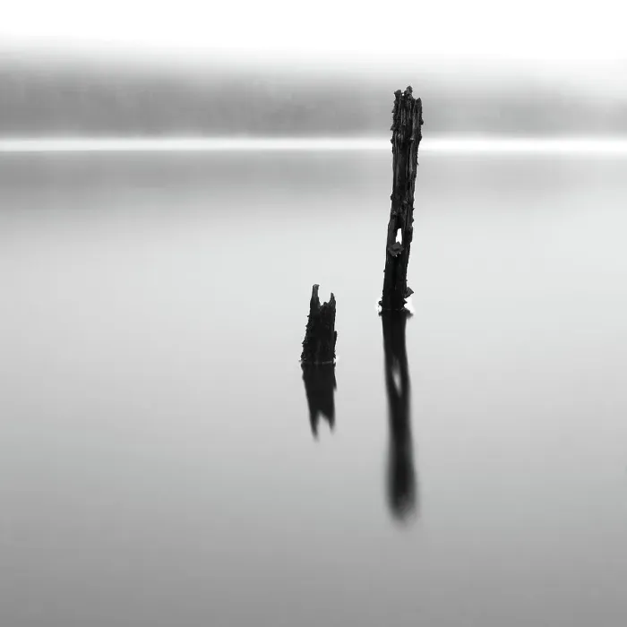 Framed Print : Old posts standing in misty loch Scotland Framed Print : Old posts standing in misty loch Scotland