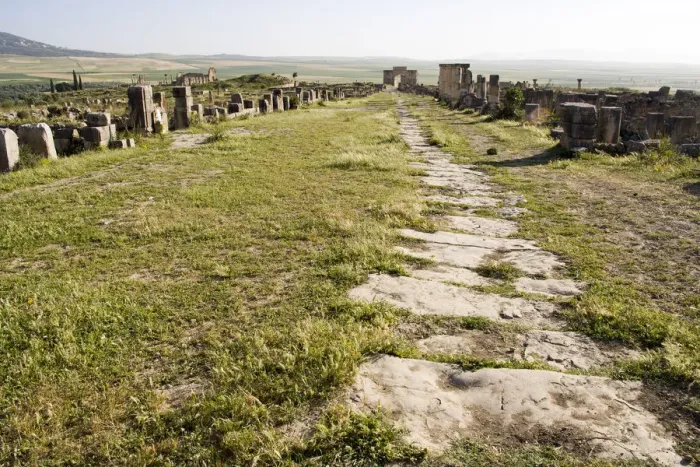 Framed Print : Old Roman ruins in Volubilis at sunset Framed Print : Old Roman ruins in Volubilis at sunset