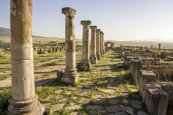 Old Roman ruins in Volubilis at sunset