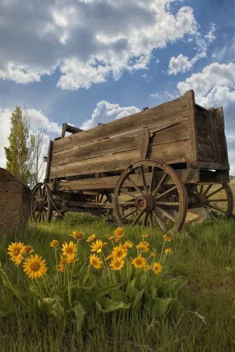 Framed Print : Old Wagon at Dalles Mountain Ranch Framed Print : Old Wagon at Dalles Mountain Ranch