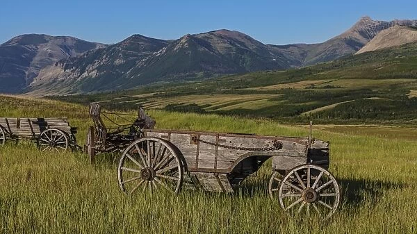 Old wagons in fields in the foothills