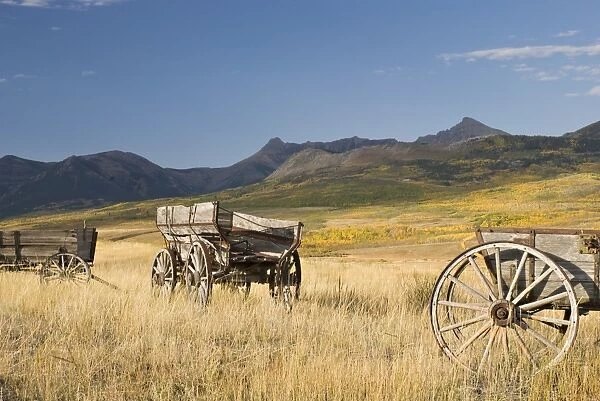 Old wagons, Foothills, Alberta, Canada